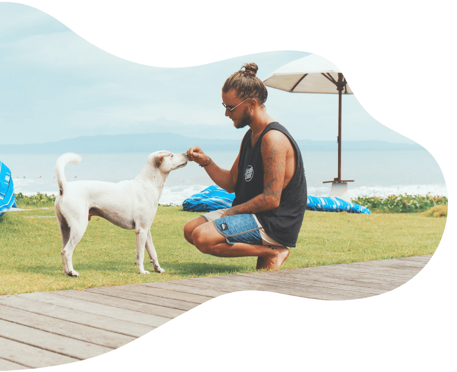 Mann füttert Hund